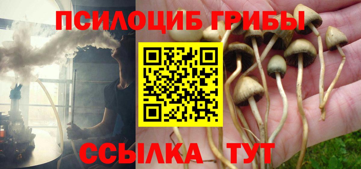Ростов-на-Дону  Псилоцибиновые грибы Cubensis  Вход с VPN 